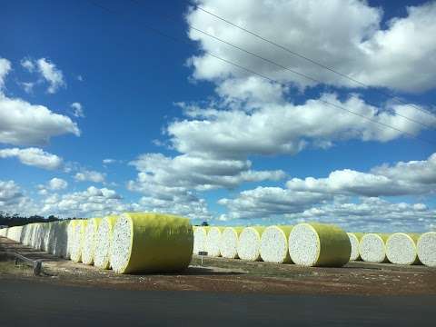 Photo: Queensland Cotton